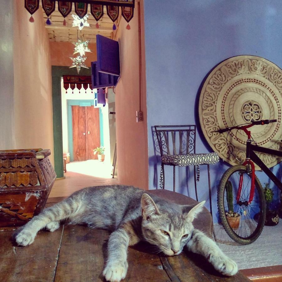 Lola Atlachinolli Sayulita Bagian luar foto